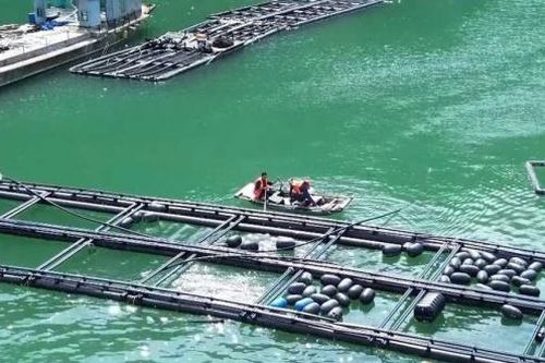 Quảng Ninh: Các hộ dân được giao trên 6.000 ha mặt biển để khôi phục nuôi trồng thủy sản