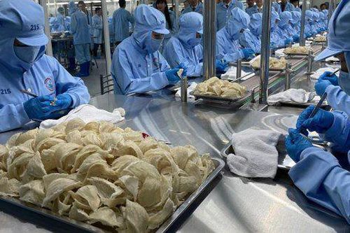 Khó khăn được dự báo trước, lãi quý III của Yến Sào Khánh Hòa chỉ bằng 1/3 cùng kỳ