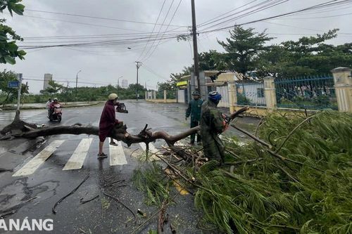 Khẩn trương khắc phục hậu quả của bão số 6, mưa lớn, lũ quét và lốc xoáy