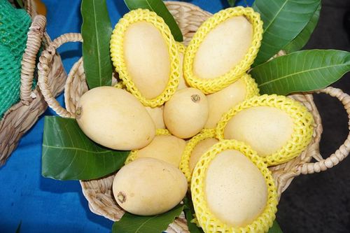 Tỉnh được Cục Sở hữu trí tuệ cấp 38 giấy chứng nhận đăng ký nông sản chủ lực, đặc thù
