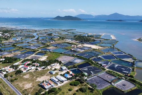 Tiếp thu, hoàn thiện Đề án nghiên cứu khả năng hình thành Cảng Hàng không quốc tế Vân Phong