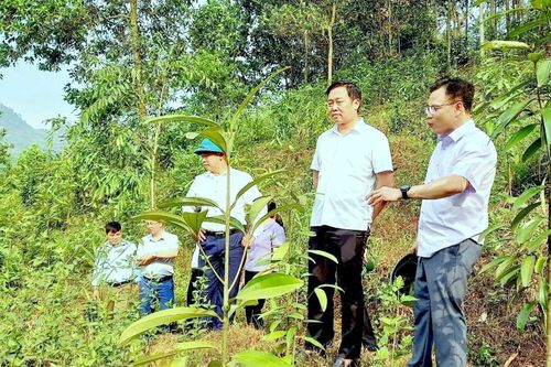 Dồn lực phấn đấu đưa Phong Thổ ra khỏi huyện nghèo vào năm 2025