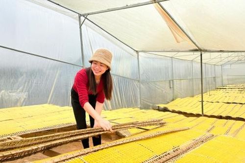 Xây dựng thương hiệu Bánh tráng làng Tày