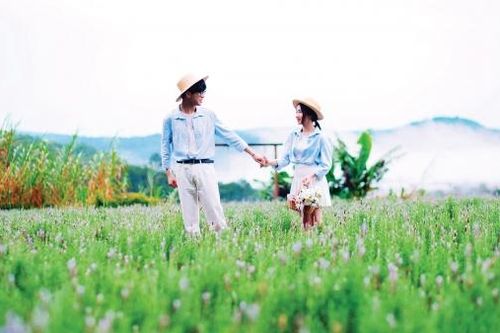 Khơi sáng những miền quê đáng sống (Bài 2)