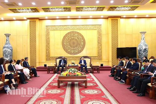 Đồng chí Bí thư Tỉnh ủy tiếp Đoàn công tác của Trợ lý Tổng Giám đốc UNESCO về Đối ngoại và Ưu tiên châu Phi