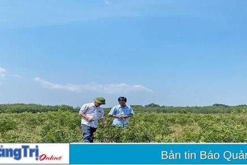 Vĩnh Linh xây dựng vùng nguyên liệu cho các sản phẩm OCOP