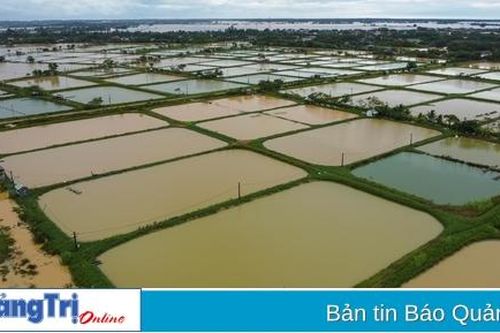 Hàng trăm héc ta nuôi trồng thủy sản bị thiệt hại do bão số 6