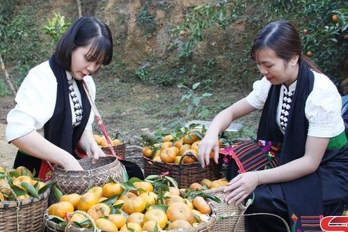 Mỗi bản một mô hình kinh tế