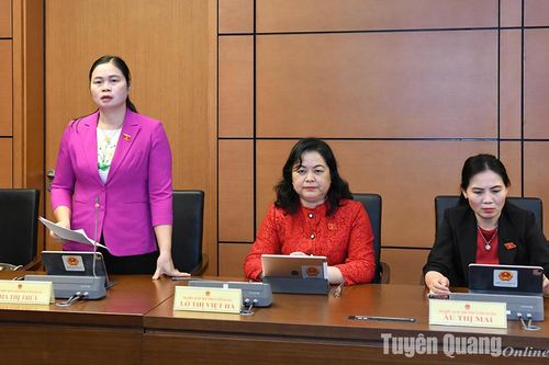 Phó Trưởng đoàn chuyên trách Đoàn ĐBQH tỉnh Ma Thị Thúy: Góp ý Luật sửa đổi bổ sung một số điều của Luật Sĩ quan QĐND Việt Nam