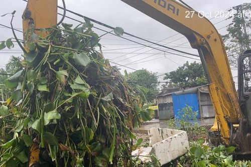Dọn dẹp vệ sinh, thu gom rác thải sau mưa bão