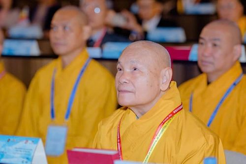 Trưởng lão Hòa thượng Thích Thiện Nhơn tham dự Hội nghị Phật giáo vì hòa bình thế giới tại Pháp