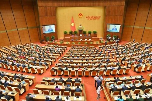 Thắp sáng 'ngọn lửa' cải cách