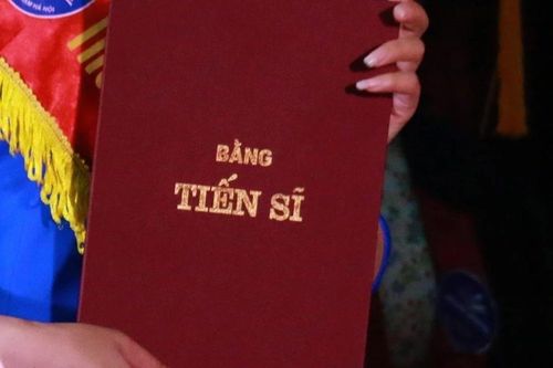 Rà soát, kiểm tra công tác đào tạo, cấp bằng tiến sĩ, phong chức danh khoa học phó giáo sư, giáo sư