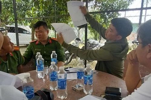 Công an vào cuộc vụ 2ha điều bị cưa trắng
