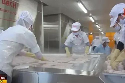 Xuất khẩu ngành nông nghiệp có thể vượt 60 tỷ USD