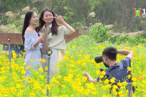 Điểm check-in đẹp dưới chân cầu Long Biên