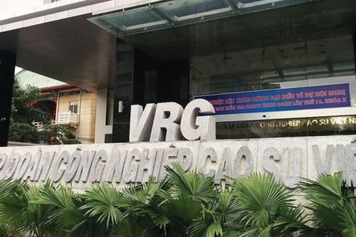 Tập đoàn Công nghiệp Cao su Việt Nam (GVR) dự chi 1.200 tỷ đồng để trả cổ tức