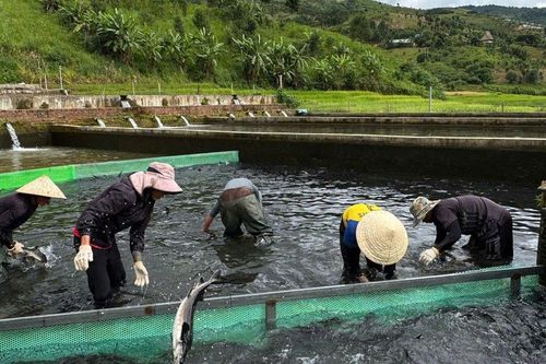 Người Hà Nội 'bỏ phố lên núi' thu 22 tỷ đồng 'nhẹ nhàng'