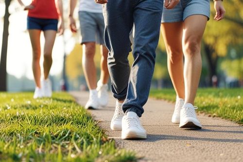 Mỗi ngày đi bộ bao nhiêu km là phù hợp?