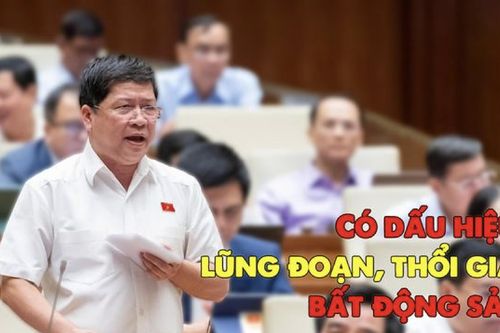 ĐBQH: Có dấu hiệu lũng đoạn, thao túng, thổi giá bất động sản