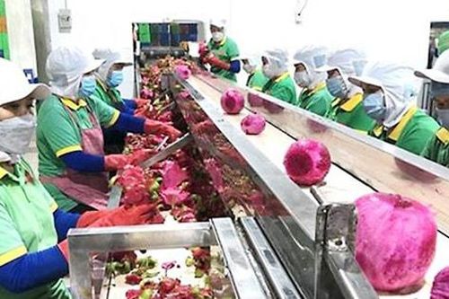 Tạo đột phá mới đưa đất nước vào kỷ nguyên vươn mình:Bài 2: Xóa bao cấp, đánh thức tiềm lực