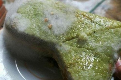 Vì sức khỏe cộng đồng: Mối nguy từ thực phẩm bị nấm mốc
