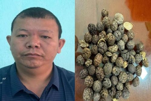 Buôn lậu 17 tấn dược liệu qua biên giới