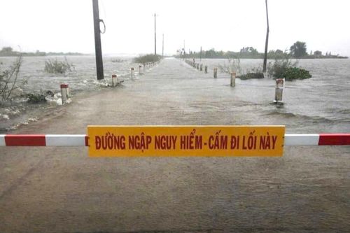 15 người kẹt trong rừng do bão Trà Mi trở về an toàn
