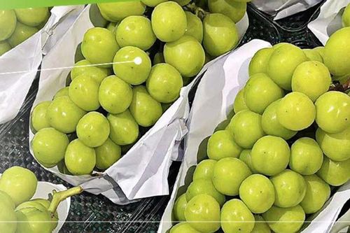 Thái Lan cảnh báo hóa chất trong nho sữa nhập khẩu