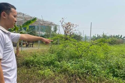 Hà Nội: đất nền 'tăng nhiệt' cuối năm 2024