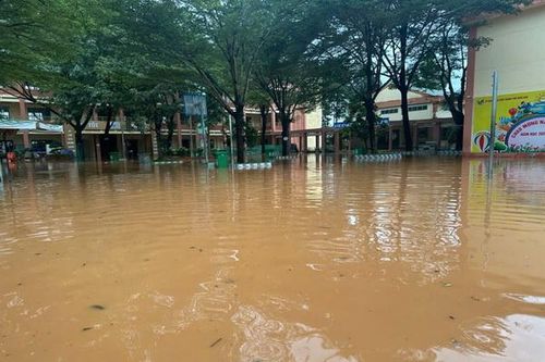 Đồng Nai: Hơn 2.600 học sinh nghỉ học vì nước lũ tràn vào trường