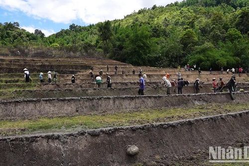 Cần sớm giải quyết vướng mắc địa giới hành chính giữa hai tỉnh Kon Tum và Quảng Nam