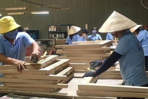 Tập trung phát triển lâm nghiệp bền vững