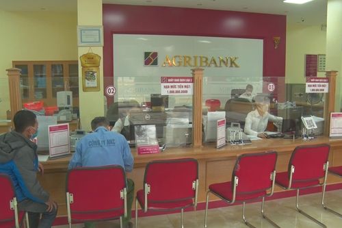 Hà Nam triển khai các giải pháp về tín dụng khôi phục lại sản xuất và chăn nuôi