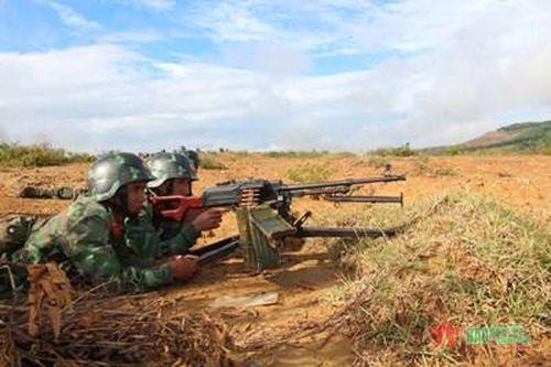 Sư đoàn 315 hoàn thành nhiệm vụ diễn tập năm 2024