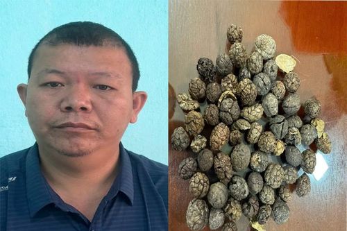 Bắt tạm giam đối tượng buôn lậu 17 tấn dược liệu qua biên giới