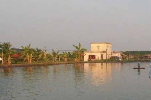 Nam Định: Xây công trình phục vụ sản xuất nông nghiệp không được quá 5% diện tích
