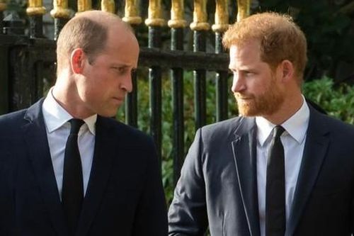 William đã nhắc đến Harry