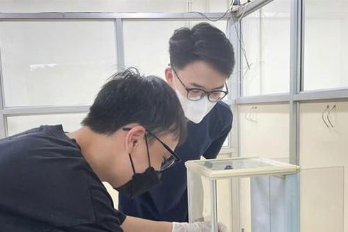 Sinh viên nghiên cứu hướng đến hiệu quả thiết thực