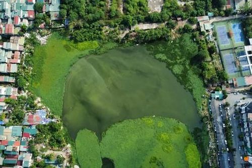 Vụ lấp hồ tại quận Hoàng Mai: Đình chỉ nhiều cơ sở sản xuất quanh hồ
