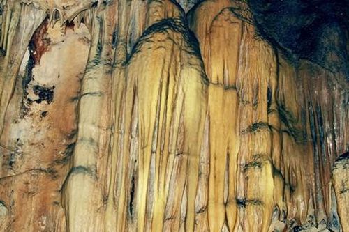 Nhìn gần hang động đẹp mê hồn vừa được phát hiện ở Thanh Hóa