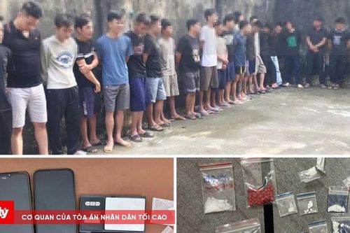 Bắt 29 đối tượng về hành vi mua bán trái phép chất ma túy