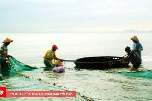 Quảng Ngãi cấm khai thác thủy sản ven bờ tại 2 khu vực