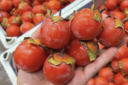 Dân buôn tiết lộ sự thật về loại hồng thạch đang 'nhuộm đỏ' chợ Việt
