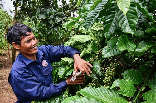 Đông Giang chú trọng đào tạo nghề, giải quyết việc làm cho người dân nghèo