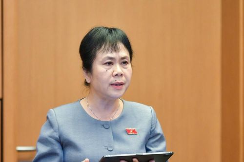 Đại biểu Quốc hội đoàn Nghệ An thảo luận về sửa đổi Luật Đầu tư công