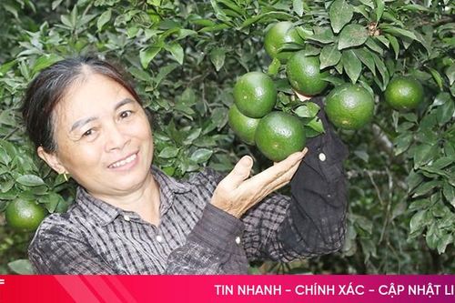 Gây dựng trang trại tiền tỷ từ hai bàn tay trắng