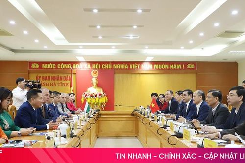 Hà Tĩnh kết nối hợp tác với các tổ chức, nhà đầu tư từ Hungary
