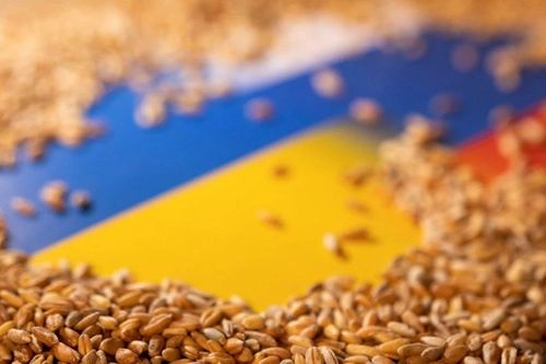 Nga ra 'đòn hiểm' gạt Ukraine khỏi thị trường, Kiev 'chật vật' giữ thăng bằng