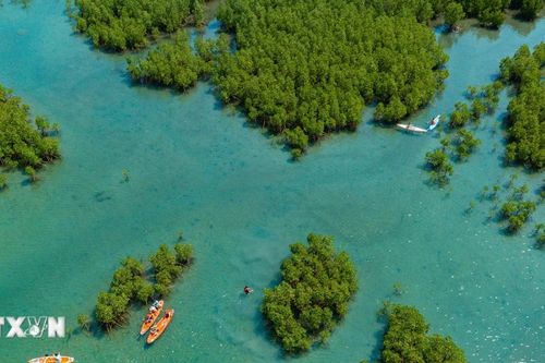 Khánh Hòa: Hành động để vịnh Nha Trang thêm 'xanh'